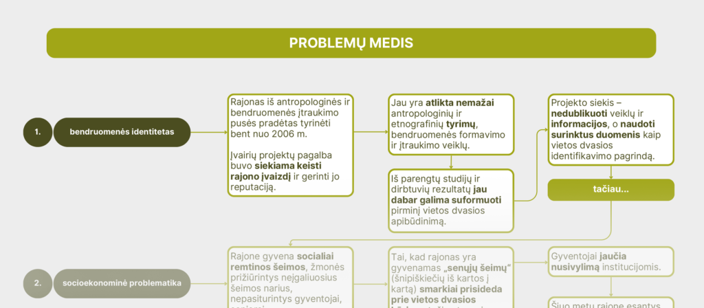 problemu medis
